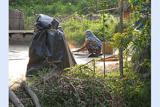 Viaggio in India 2008 - Sunderbans